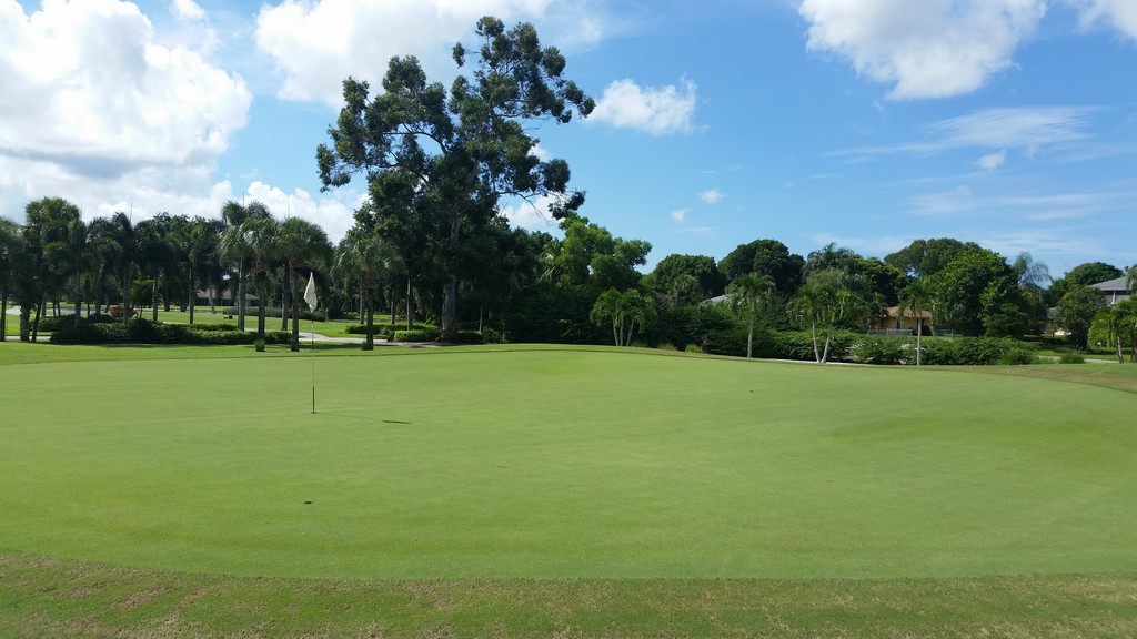 Golf Course Green