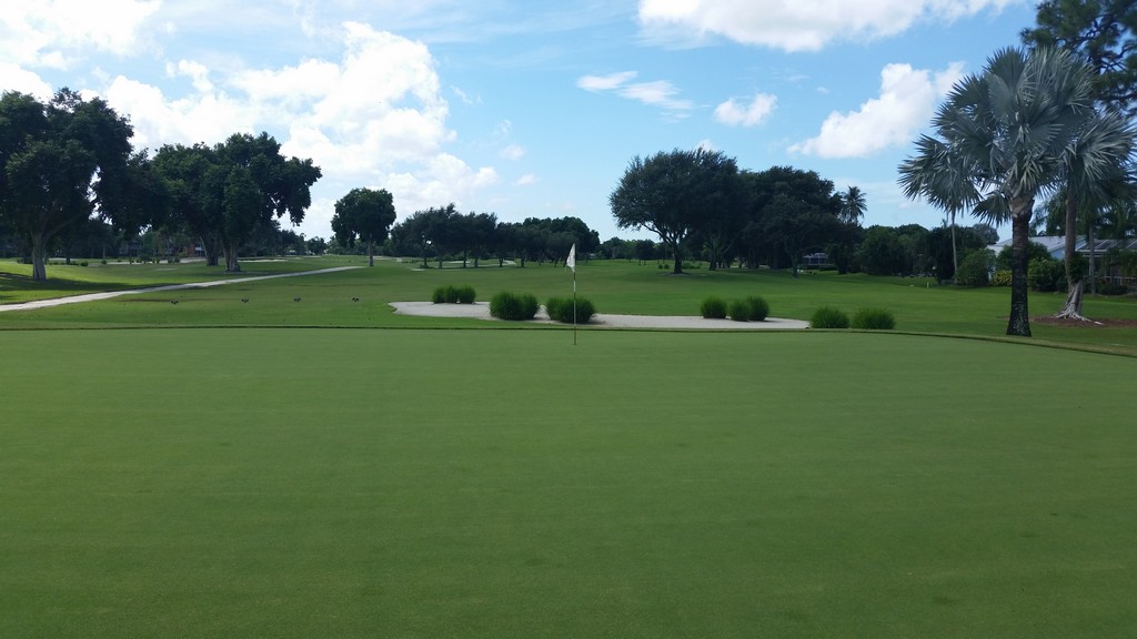 View of golf course with pond