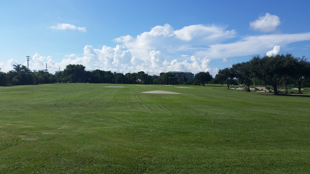 View of Golf course with trees